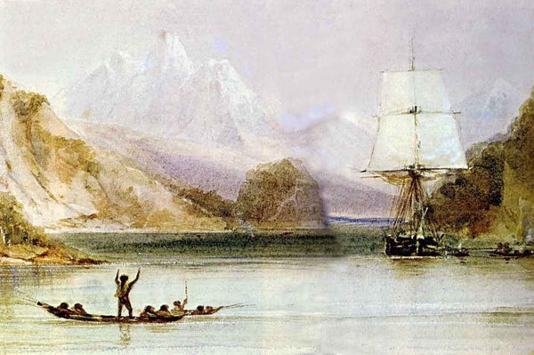 CHARLES DARWIN'S DIARY: INSIGHTS FROM HIS FIELD NOTES AND SKETCHES DURING THE VOYAGE